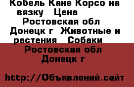 Кобель Кане-Корсо на вязку › Цена ­ 5 000 - Ростовская обл., Донецк г. Животные и растения » Собаки   . Ростовская обл.,Донецк г.